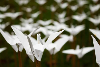 A collection of intricately folded paper cranes, symbolizing peace and hope.
